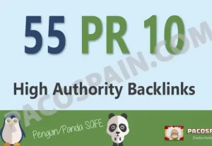 4504We will create 55+ PR10 Profile Backlinks Pacospain