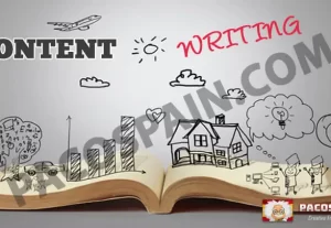 4248Premium Content Writing Service – Article writing