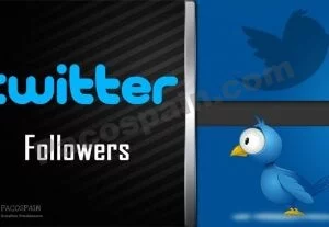4928Twitter Followers For Your Twitter Account