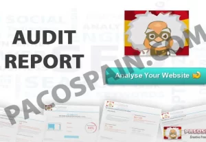 5196Audit Report – Website SEO Analysis