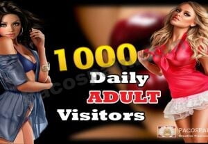 Daily Adult Traffic To Your Website