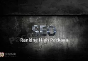 All In One SEO Strategy – Elevate Your Ranking