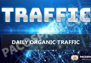 7195Organic Keyword Targeted Web Traffic 30 days
