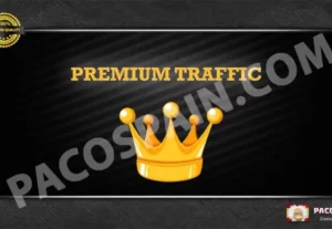 7167PREMIUM Targeted Visitors/Traffic To Your Website