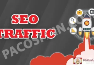 7518SEO Traffic For Your Website Or Blog