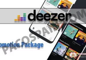 11017Deezer Promotion Package For Your Music Tracks