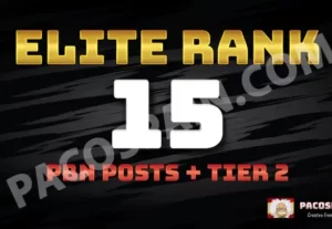 10777Elite Rank – 15 PBN High Authority Posts