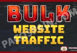 24402Bulk Website Visitors For 30 Days Buy it NOW