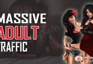 Massive Adult Organic Traffic To Your Website