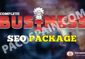 269833Pacospain Business SEO Package Rank 1