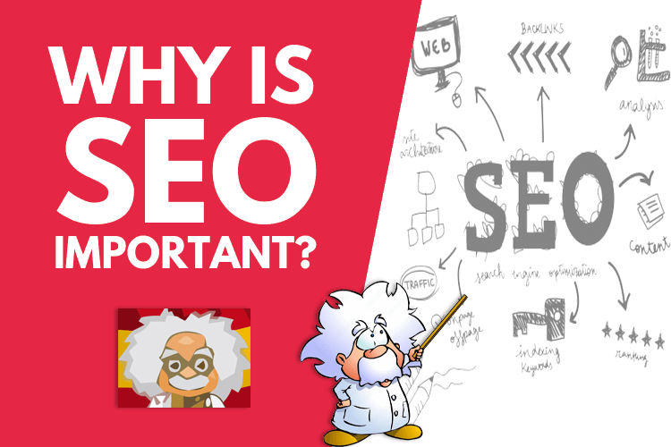 Top 5 Reasons Why SEO is Important For Your Business - Pacospain